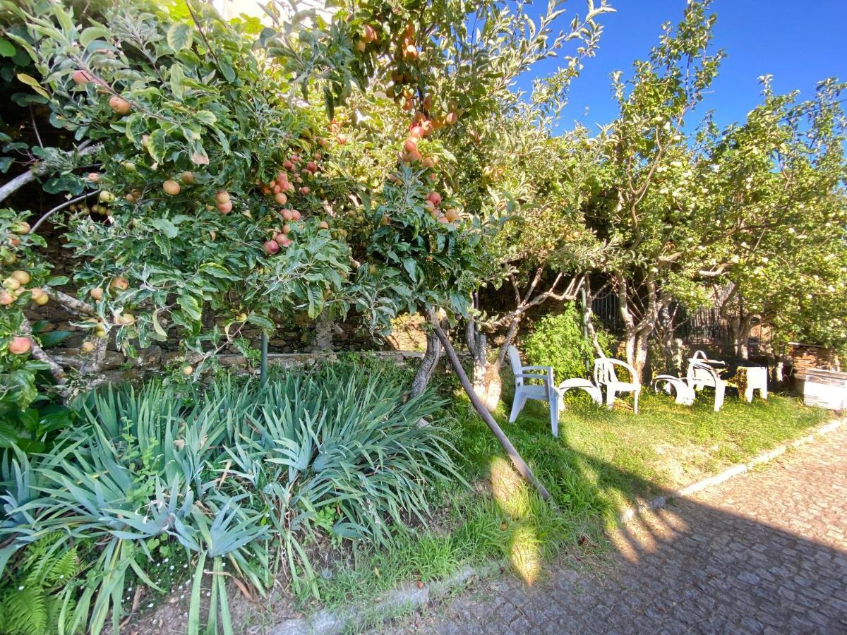 Casa Da Risca Lägenhet Unhais Da Serra Exteriör bild